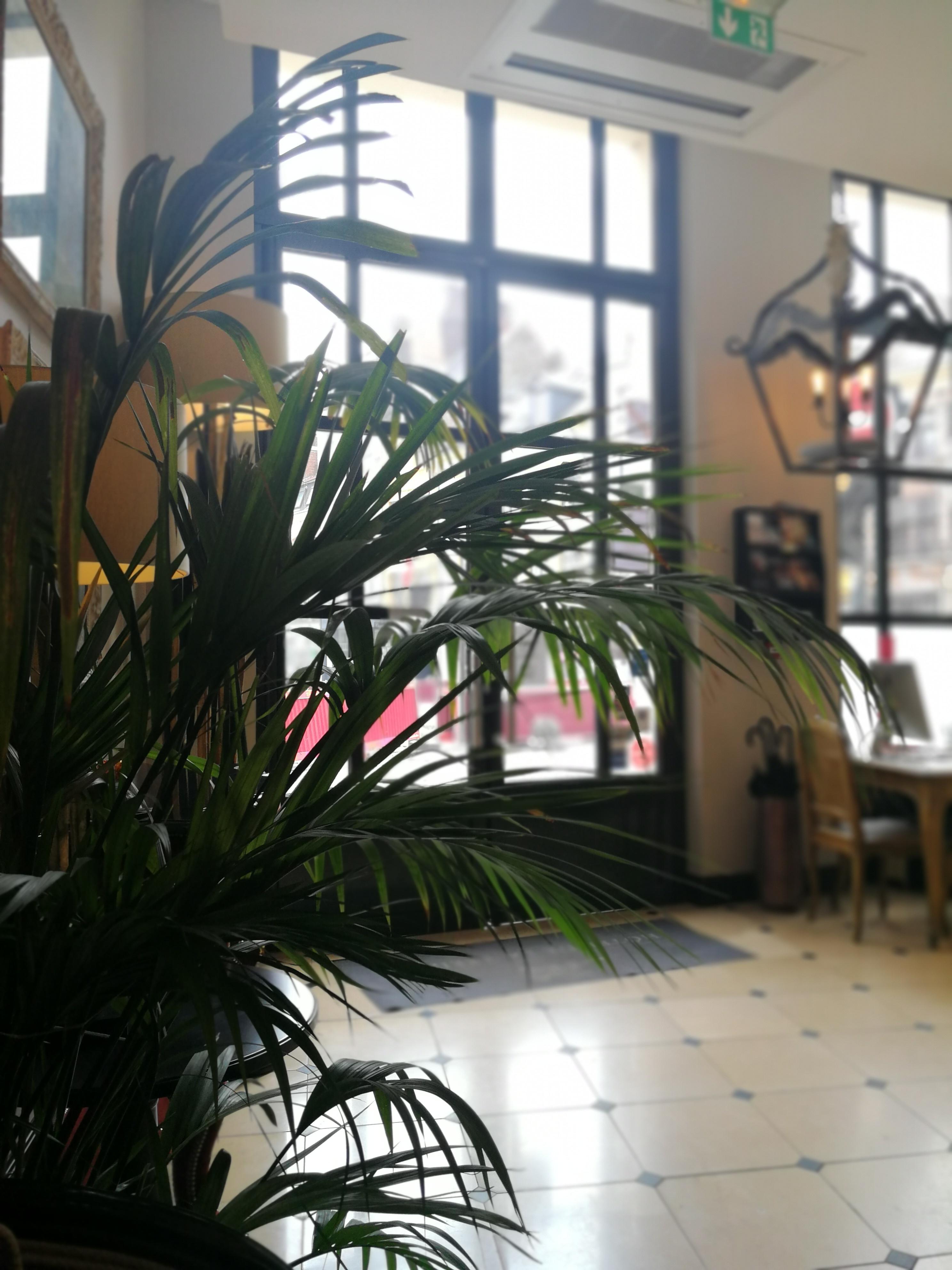 Hotel De La Treille Lille Dış mekan fotoğraf